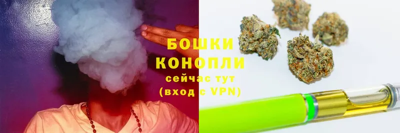 сколько стоит  Колпашево  Шишки марихуана Ganja 